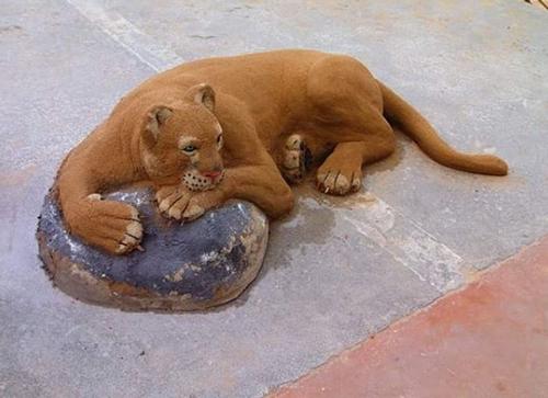 老外沙雕动物视频,外国人沙雕模仿动物