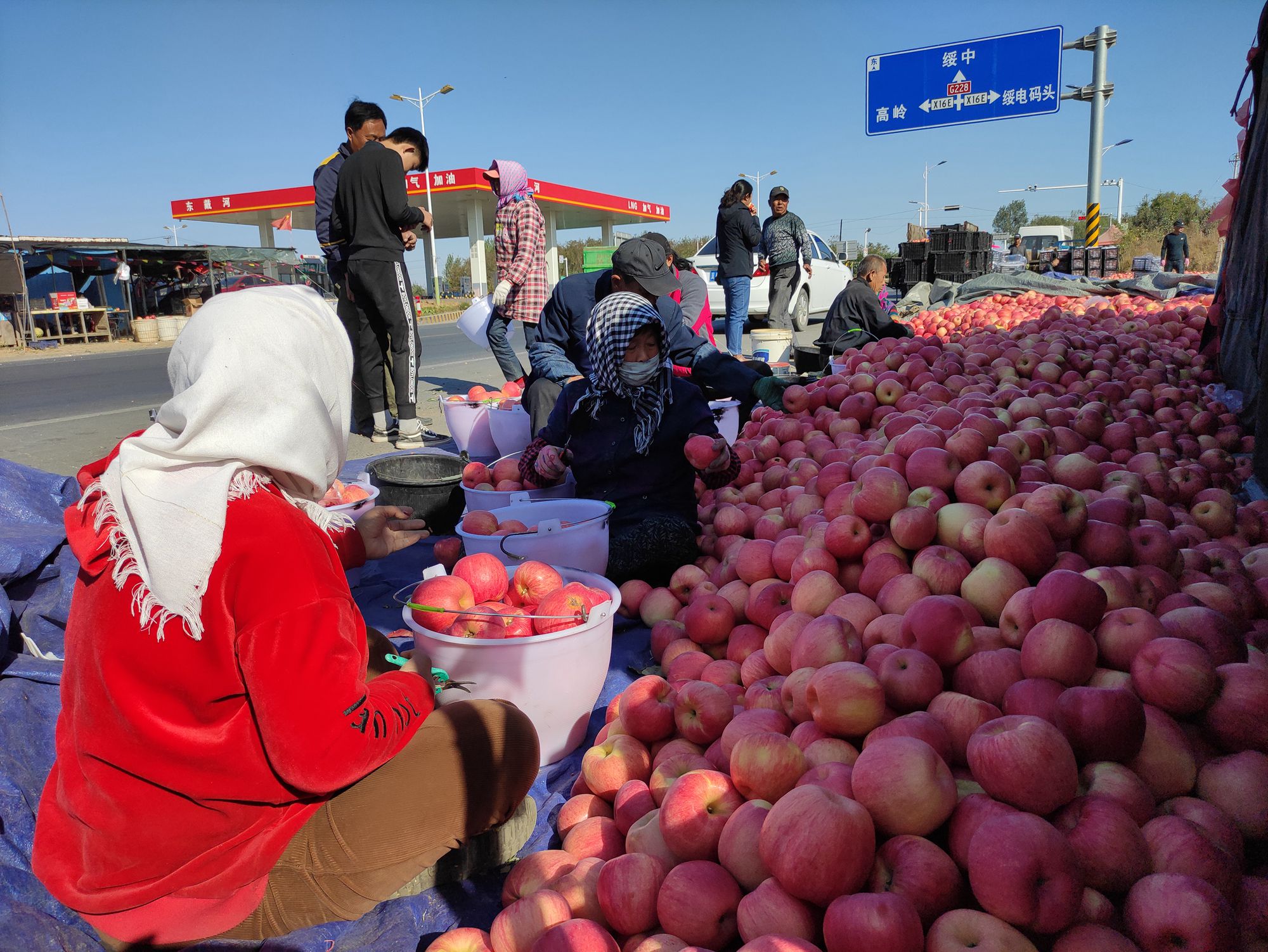 欣赏年画、邂逅大海、闲逛宜家，将生活过成诗与远方