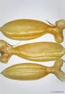 花胶选择指南如何挑选最好的花胶,2千元以内的花胶怎么挑选