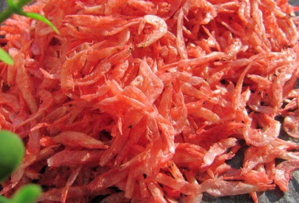 樱花虾水温30度有危险吗,樱花虾适合什么水质