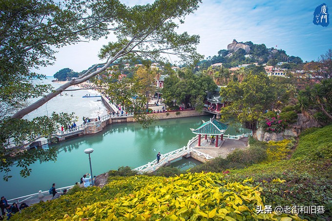 四天玩遍厦门,四天畅游厦门