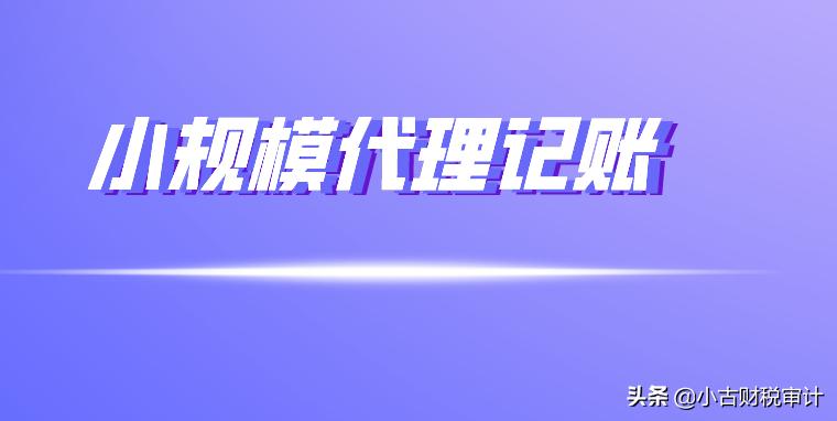 武侯私人代理记账,成都青羊区代理记账公司