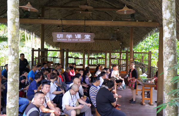 海南呀诺达热带雨林文化旅,三亚诺达雨林旅游攻略