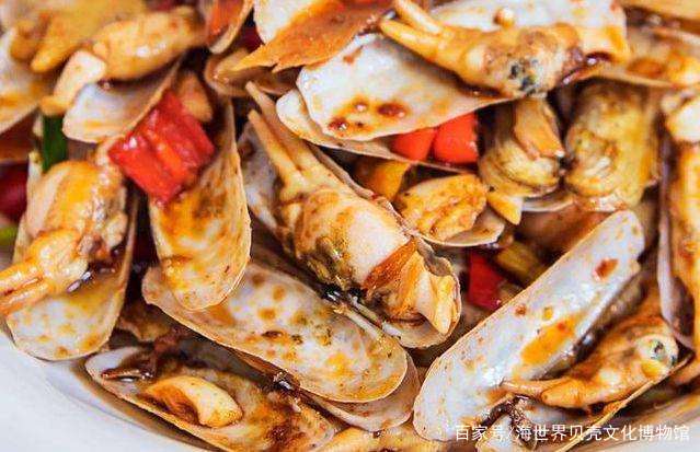 扒一扒那些在美食界乘风破浪的贝壳们