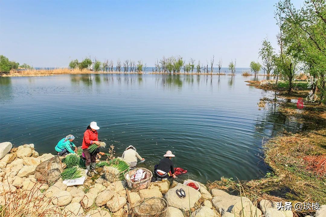 洱海并不是海，环海最美的一段其实是这里，你去对了吗？