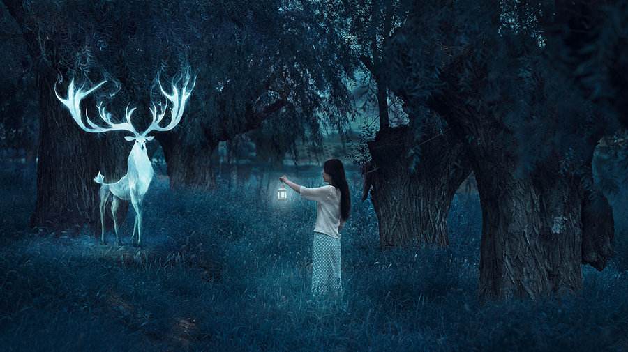 世界上的未解之谜有科学依据吗,史上第六大未解之谜