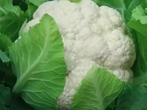 细雨朱自清读书笔记,细雨生活分享