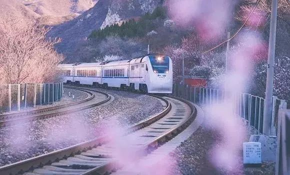 太美了开往春天的列车,这些开往春天的列车简直美呆了