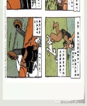 丁丁和丁丁历险记论文,丁丁历险记丁丁的服装