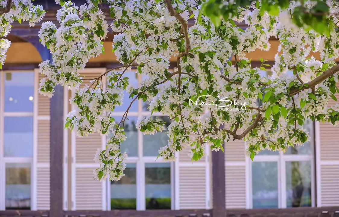 烟台张裕酒庄参观推荐,烟台打卡网红景点月亮湾