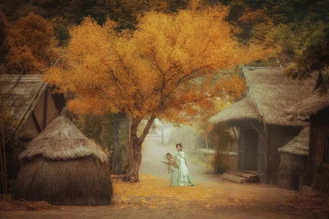 听诗歌朗诵感受,听诗歌朗读