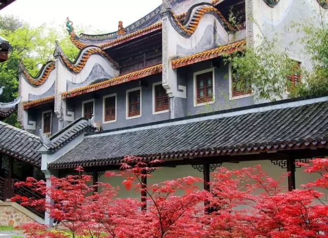 在长沙生活的你，怎么能不知道这些“*规则潜**”