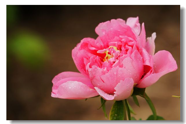 历史上有什么颠覆三观的事,历史上让人三观震碎的事情