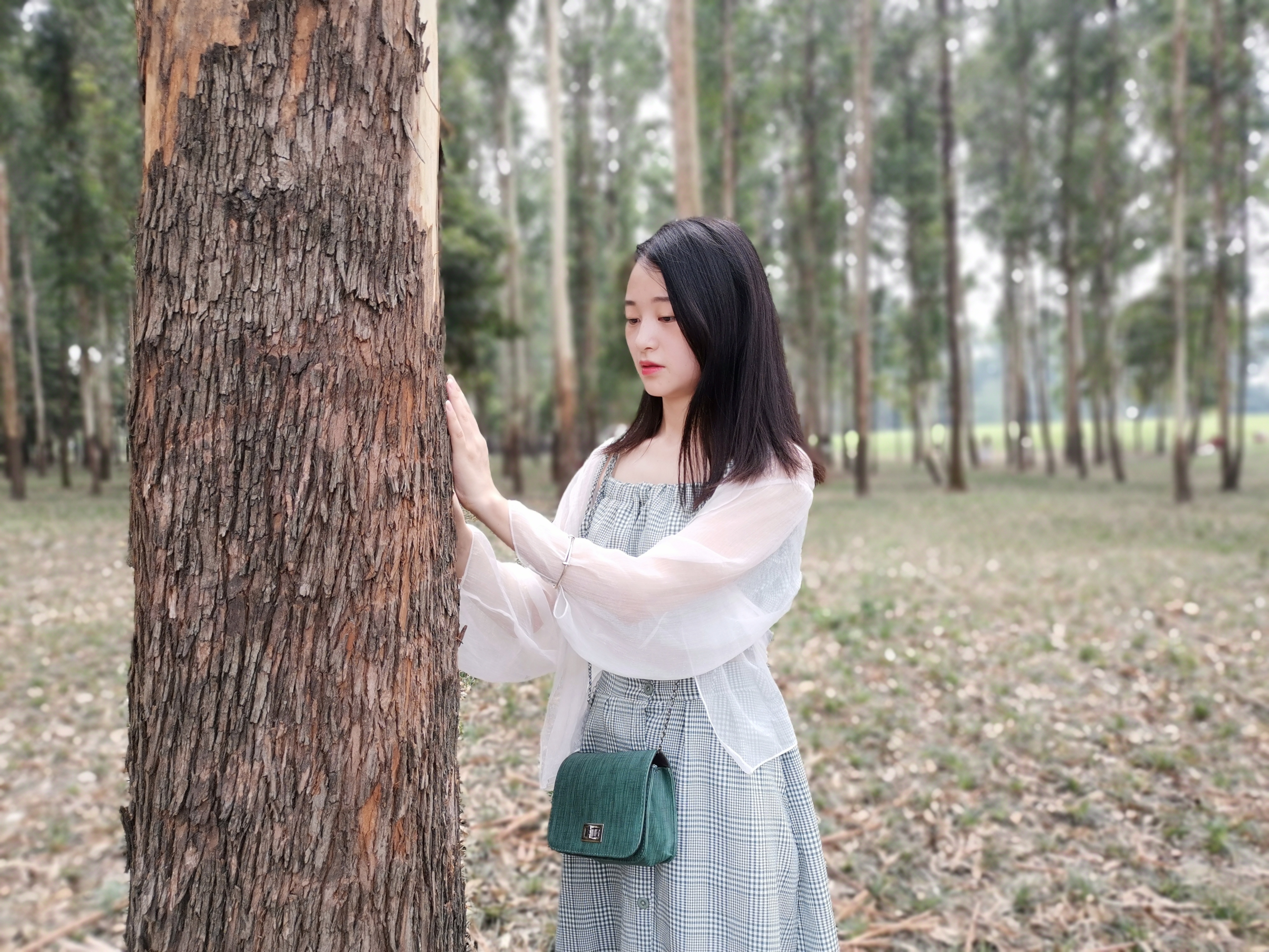 向日葵花海成都8月,成都向日葵花海几月有花