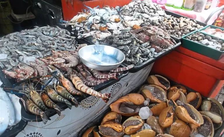 象拔蚌打捞,深海生猛龙虾象拔蚌四人海鲜大餐