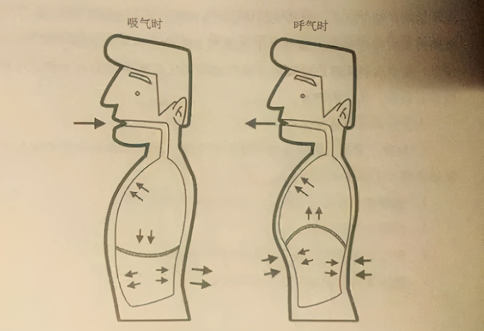 纯新手怎么练唱歌技巧,初学者怎样练习唱歌气息