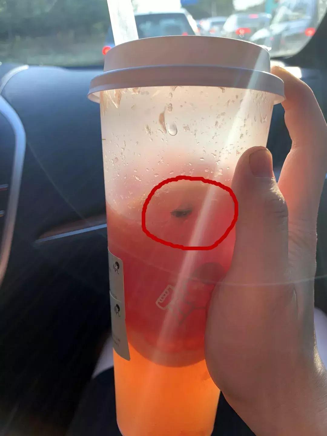 孕妇买奶茶喝出一只绿头苍蝇，喜茶苏州圆融时代店被查封