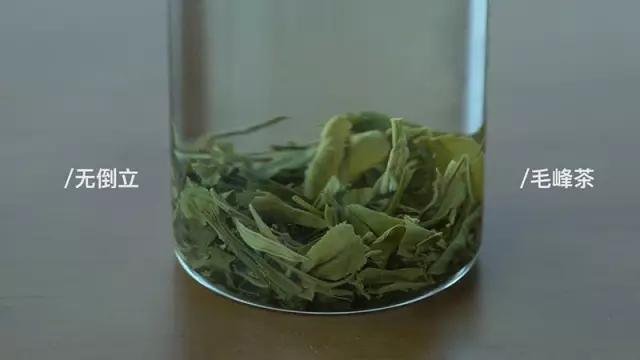 会倒立的才是好绿茶？我们给你做了这个实验