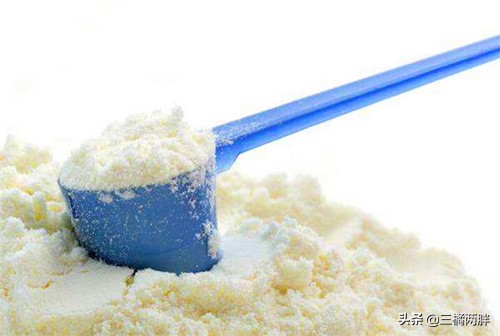 养宠经验和能力,养宠狗经验