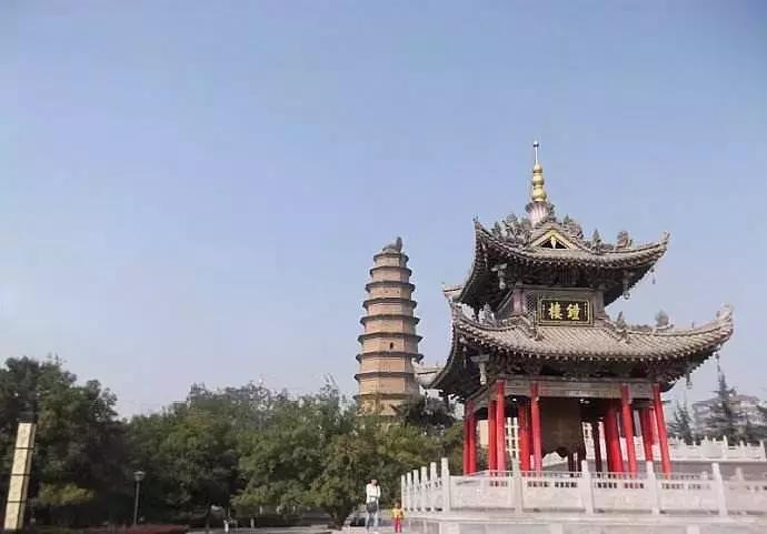 冬天来合阳，赏万顷芦荡，候鸟齐飞（组图）