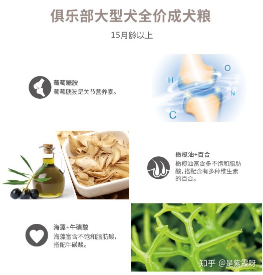 到底买什么牌子的国产狗粮最好,狗粮哪个好国产良心狗粮排名前十