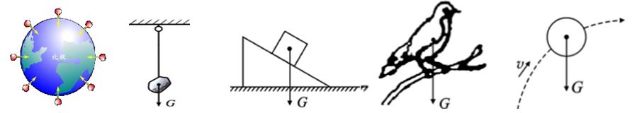 6.3重力,物理重力思维导图