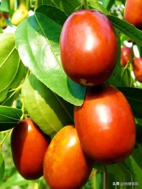 南疆印象系列文章十一：若羌