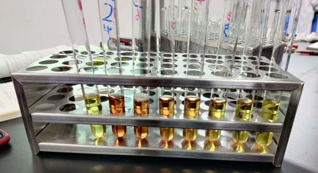 医学生学习打卡做题,医学生学习成果检验视频