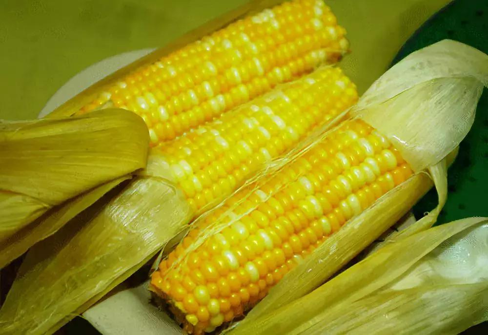 深圳光明发展最好的地方在哪,深圳光明区有什么好的地方