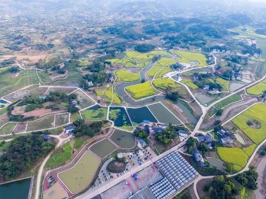 探秘！江小白的农业之梦（附2个战略布局）