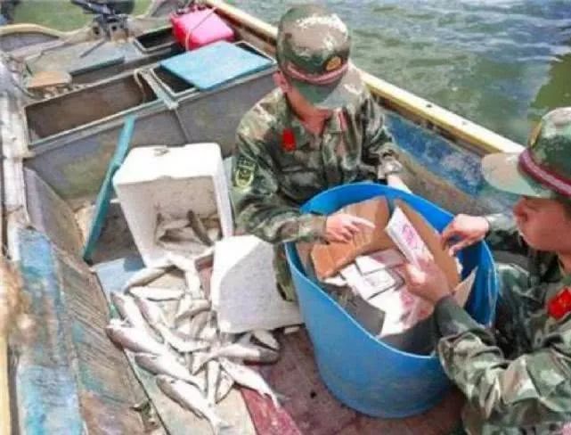 女明星代购被骗案例,女明星代购被骗