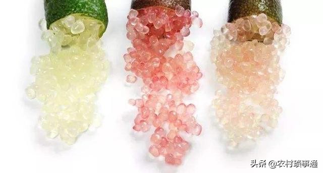 果中的“鱼子酱”，味道怪异惹人爱，一斤卖400元，解酒效果好