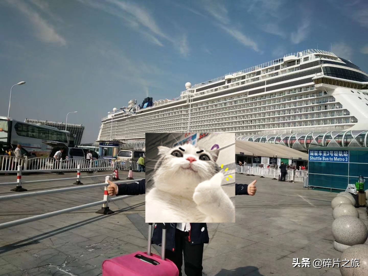 豪华游轮日本游旅游攻略,特价日本豪华游轮旅游攻略