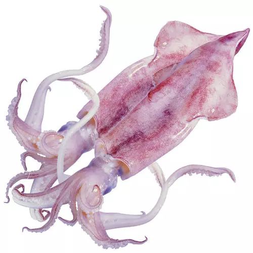 开课啦相关视频,开课啦完整版