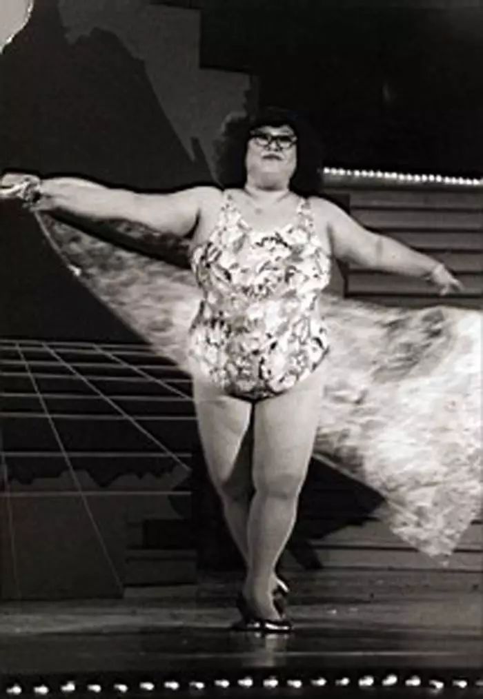 肥姐沈殿霞开导张国荣,张国荣遗言