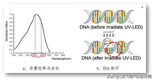 紫外线对新冠病毒有杀灭作用吗,紫外线灯对新冠有用吗