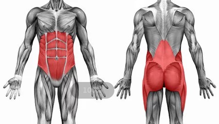 侧腰山羊挺身正确训练方法,山羊挺身练背替代动作