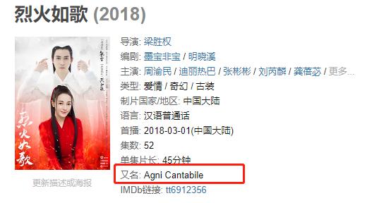 国内高分电视剧的英文名,电视剧经典英文名