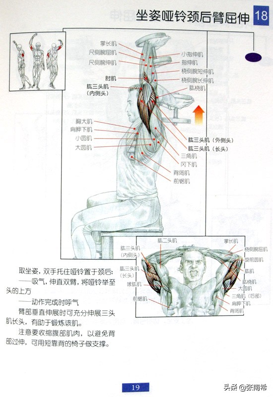 男士健身的进阶之路,男士运动健身全攻略