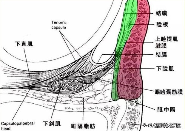 眼睛无神呆滞怎么好得快,眼睛无神呆滞怎么变好图片