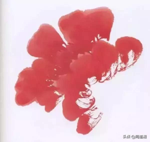 九种牡丹调色法,牡丹九大色系图片大全