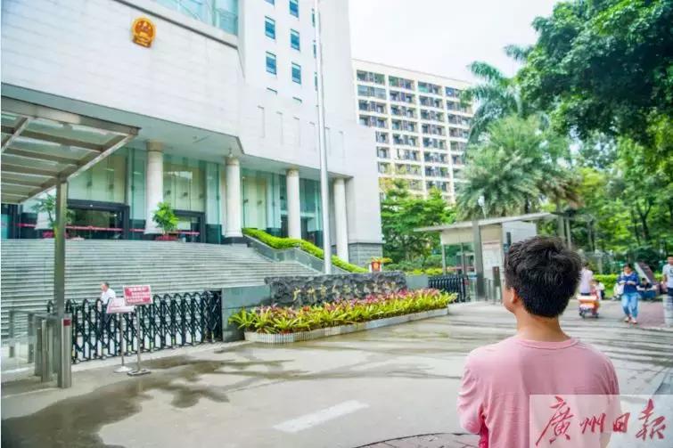 女子被“高空坠狗”砸致一级伤残，无奈狗主人找不到