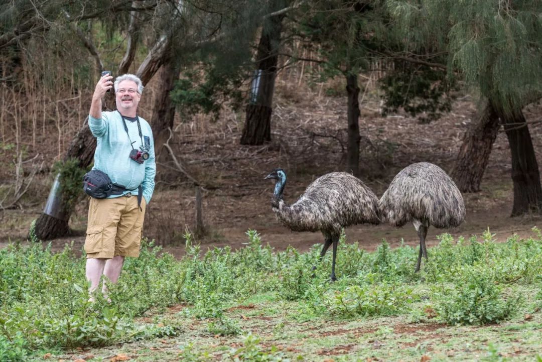 悉尼到阿德莱德自驾游,澳大利亚阿德莱德悉尼距离
