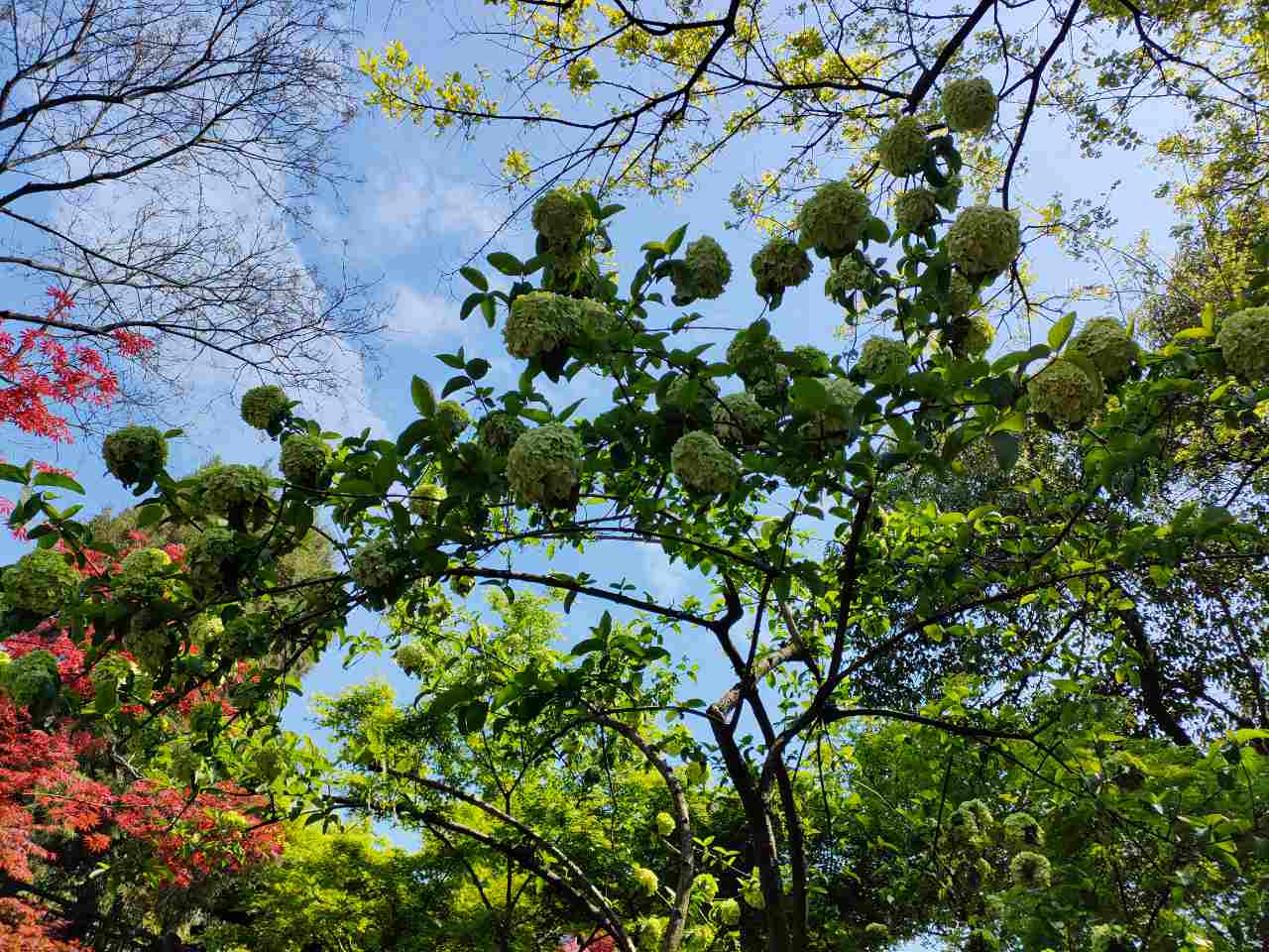 扬州，一座让人吐槽而又留恋想驻足的城市