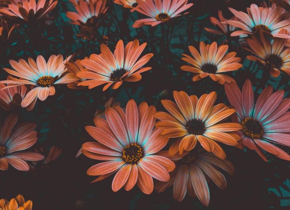 游戏原画还值得入行吗？