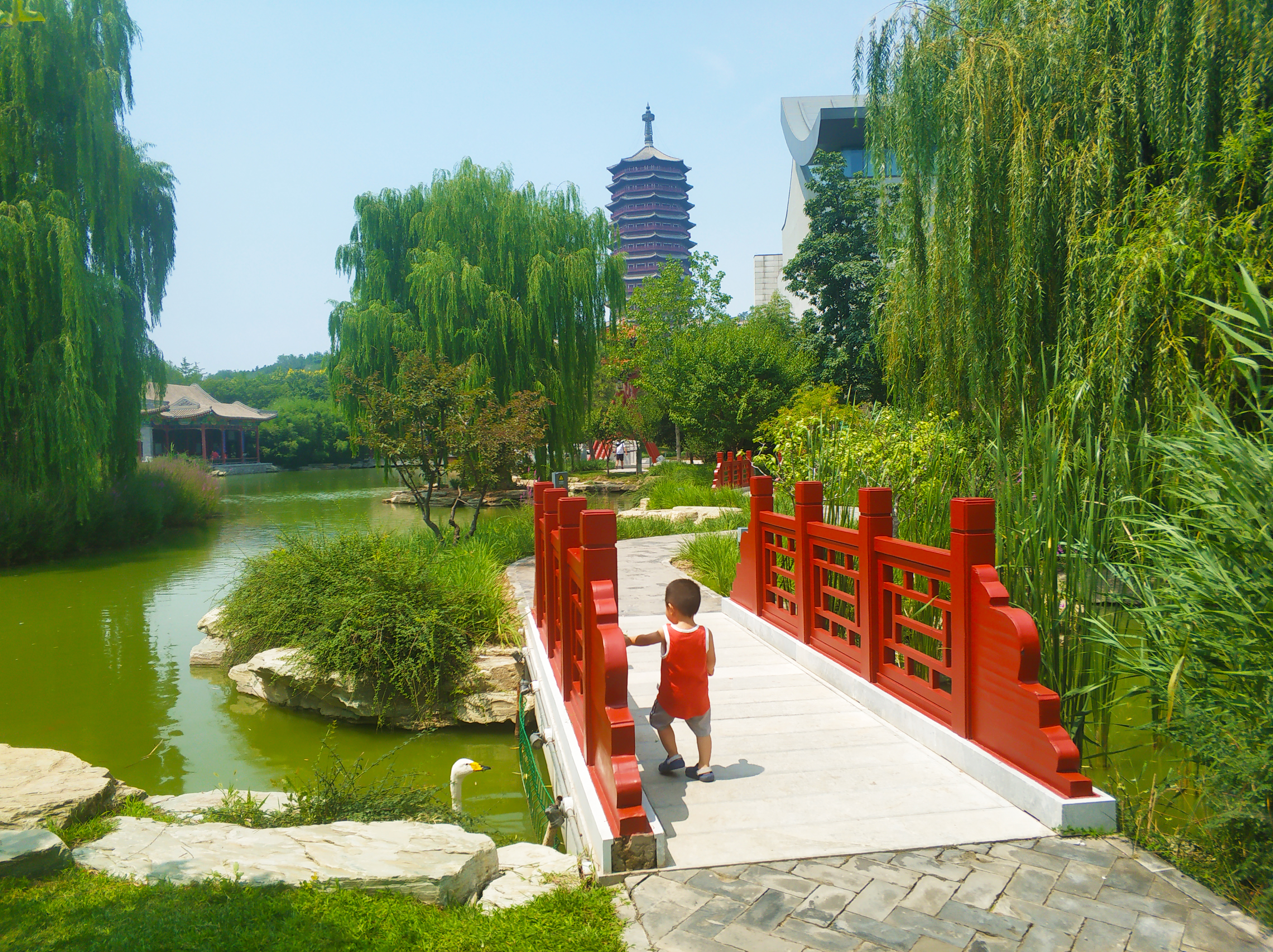 北京十大遛娃必去景点,北京宝藏遛娃地