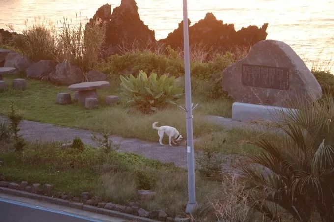 济州岛周末两日游,济州岛2天一夜跟团游