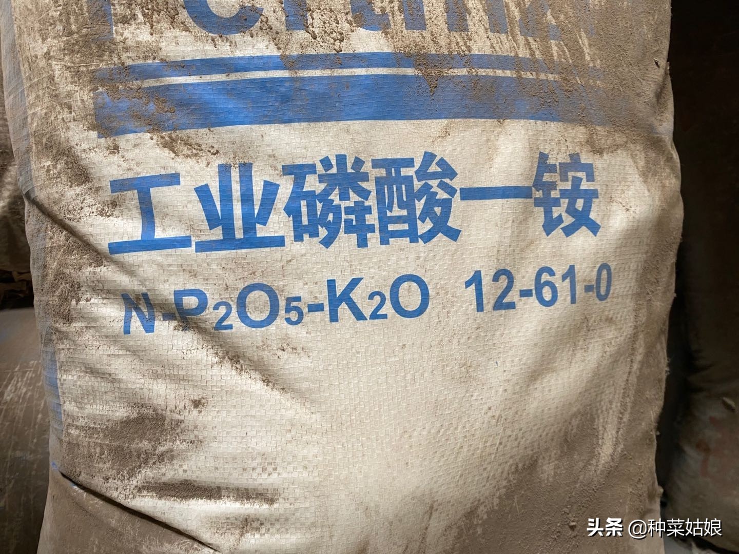 种菜怎么施肥效果最好,种菜长得慢该怎么办