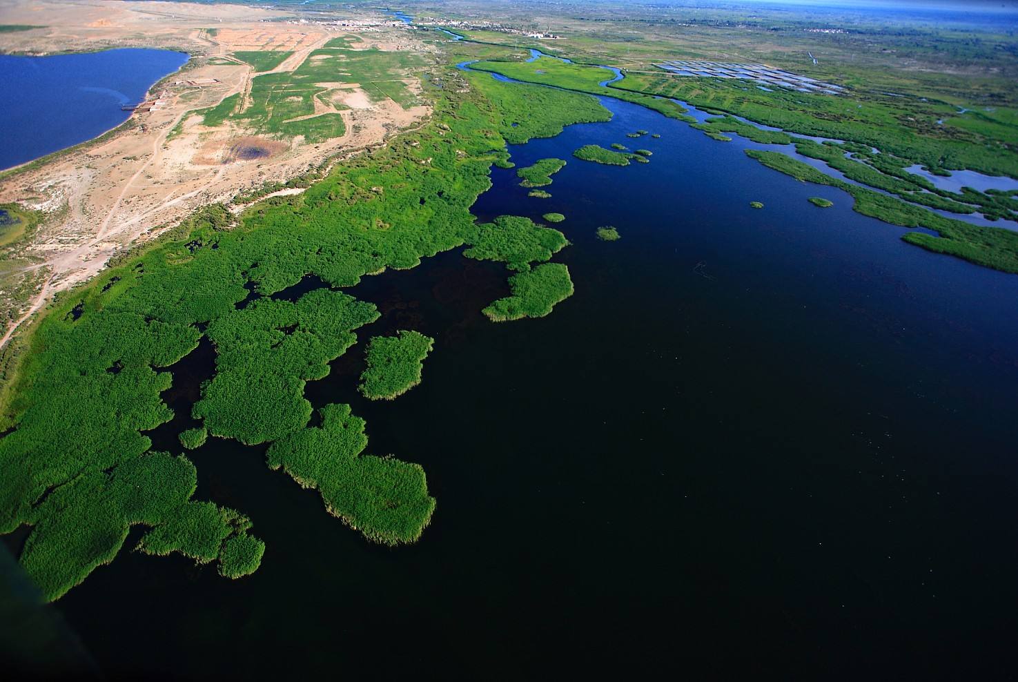 新疆的七八月份,七八月份新疆适合去哪