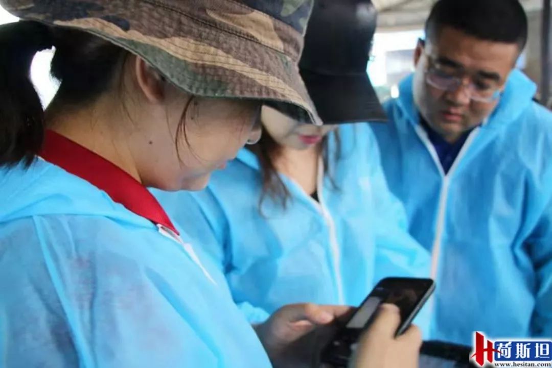 数字化奶牛养殖技术,大型奶牛场繁育新技术